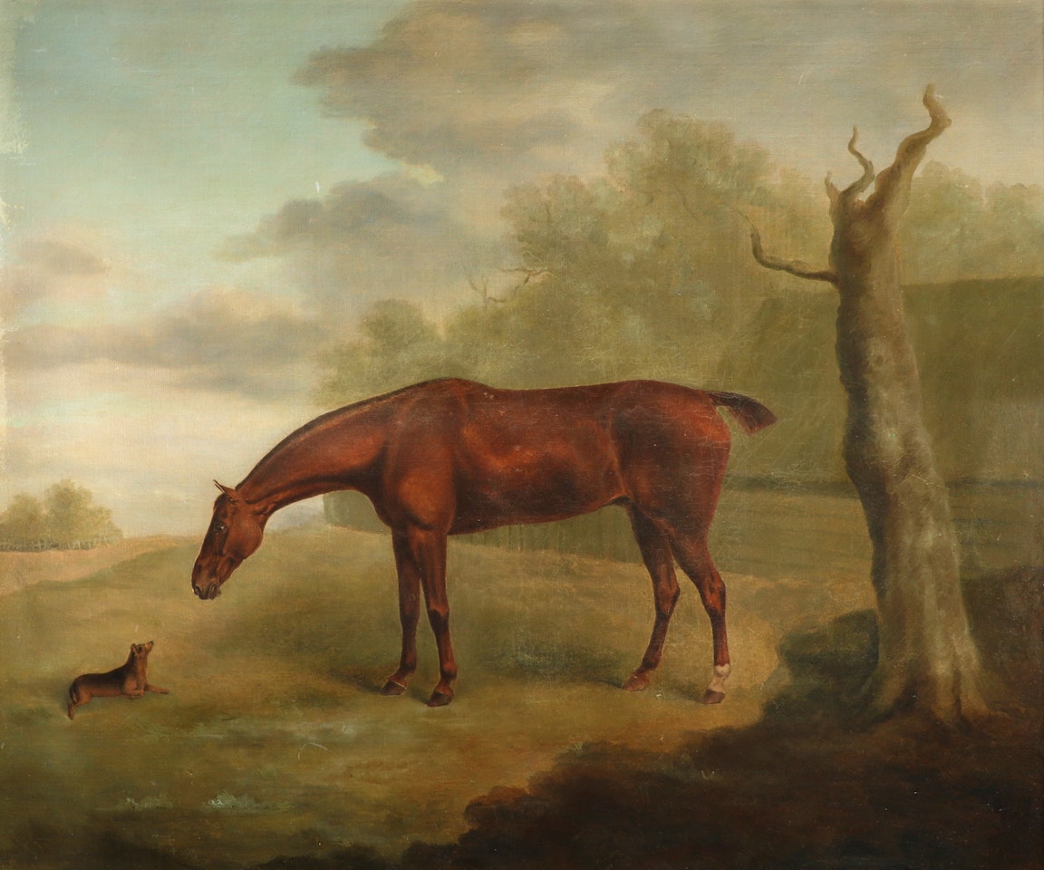 Horse and terrier in a landscape by English School