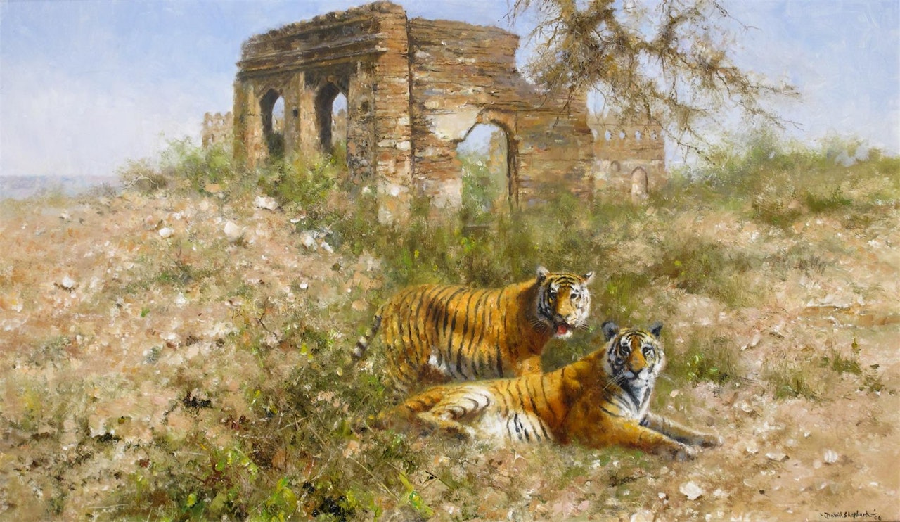 Two tigers at Ranthambore, India by David Shepherd