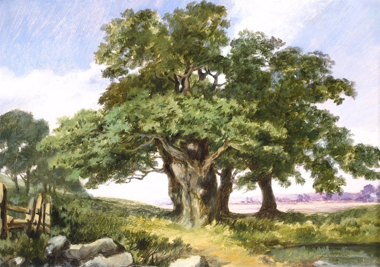 Study of an oak tree by English School