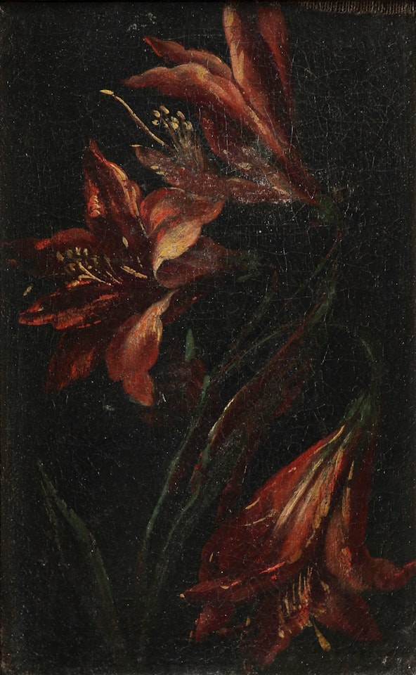 Study of lillies; Study of peonies by Dutch School