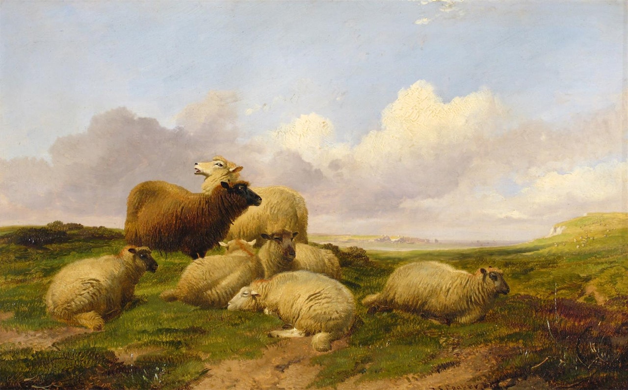 Sheep on a chalk down with cliffs beyond by Thomas Sidney Cooper