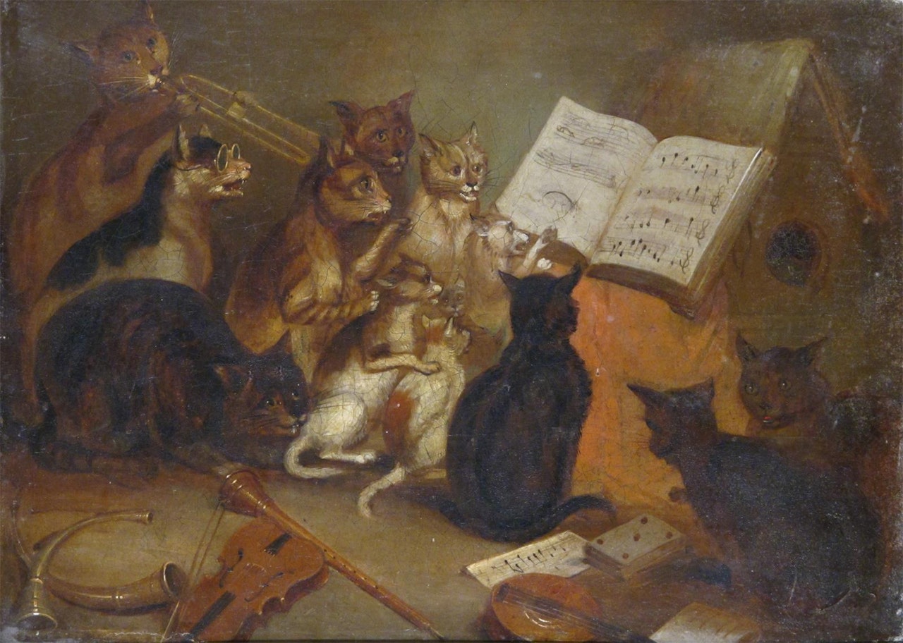 A cats chorus by English School