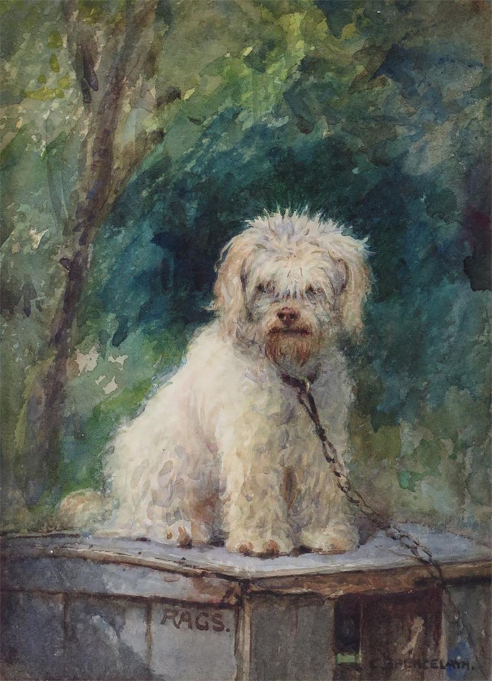 Rags, the artist"s poodle by Charles Spencelayh