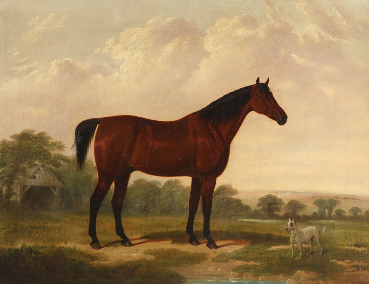 Portrait of a bay hunter and a dog in a landscape by English School