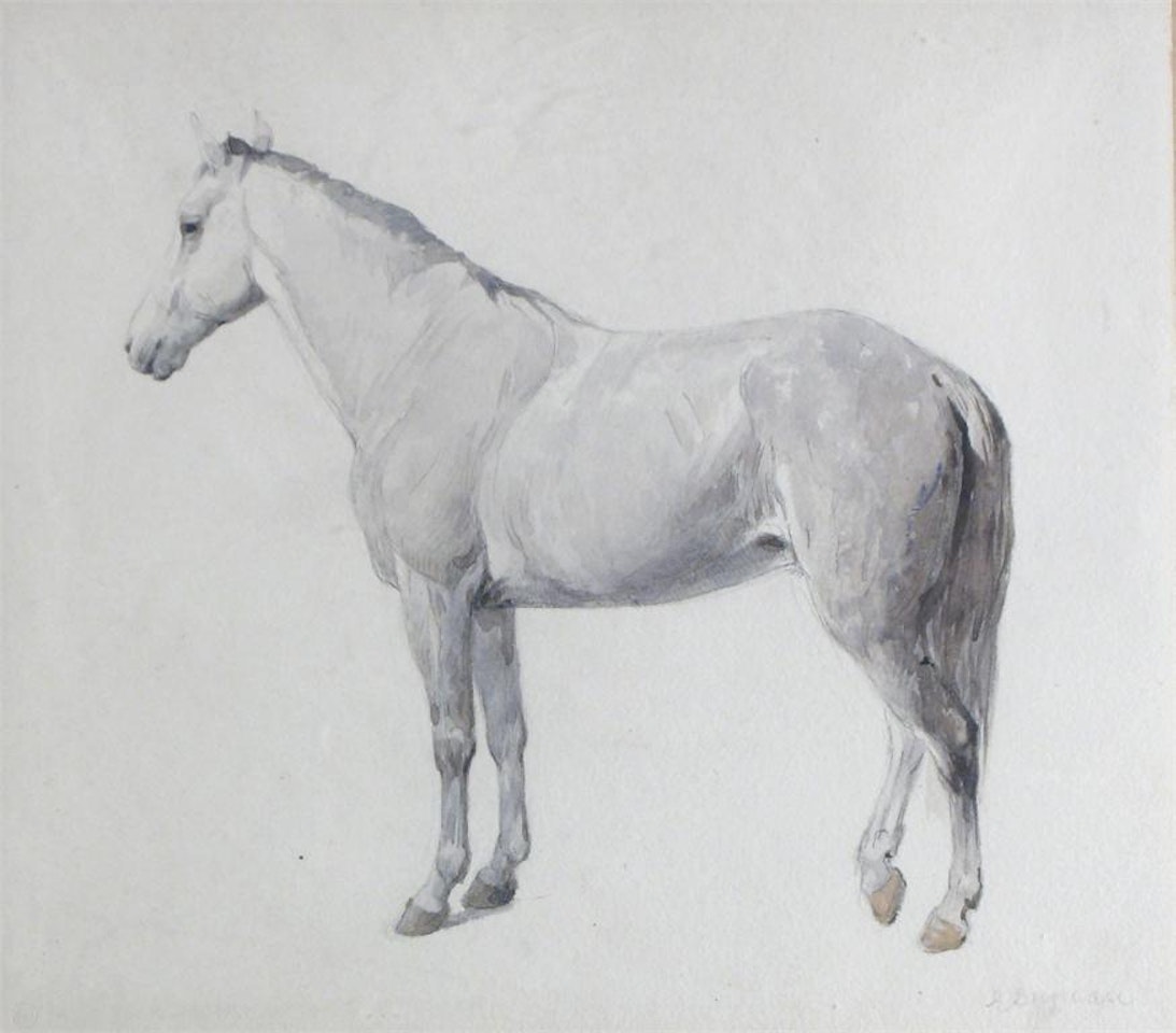 Study of a horse by Edward Duncan