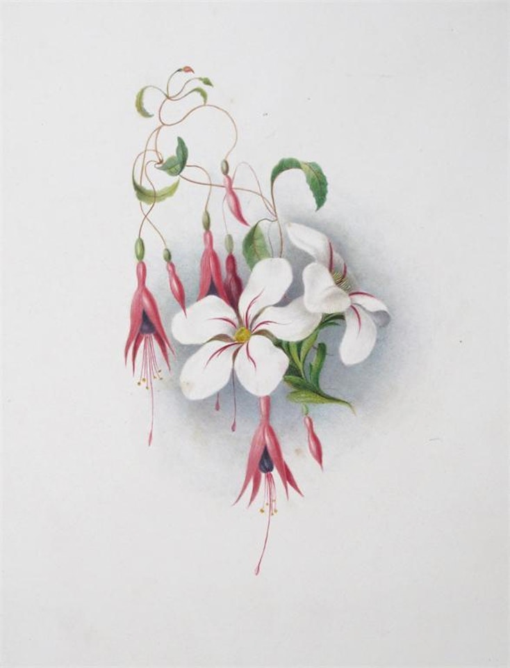 An embossed album of watercolours and prints, including floral studies and landscapes by English School