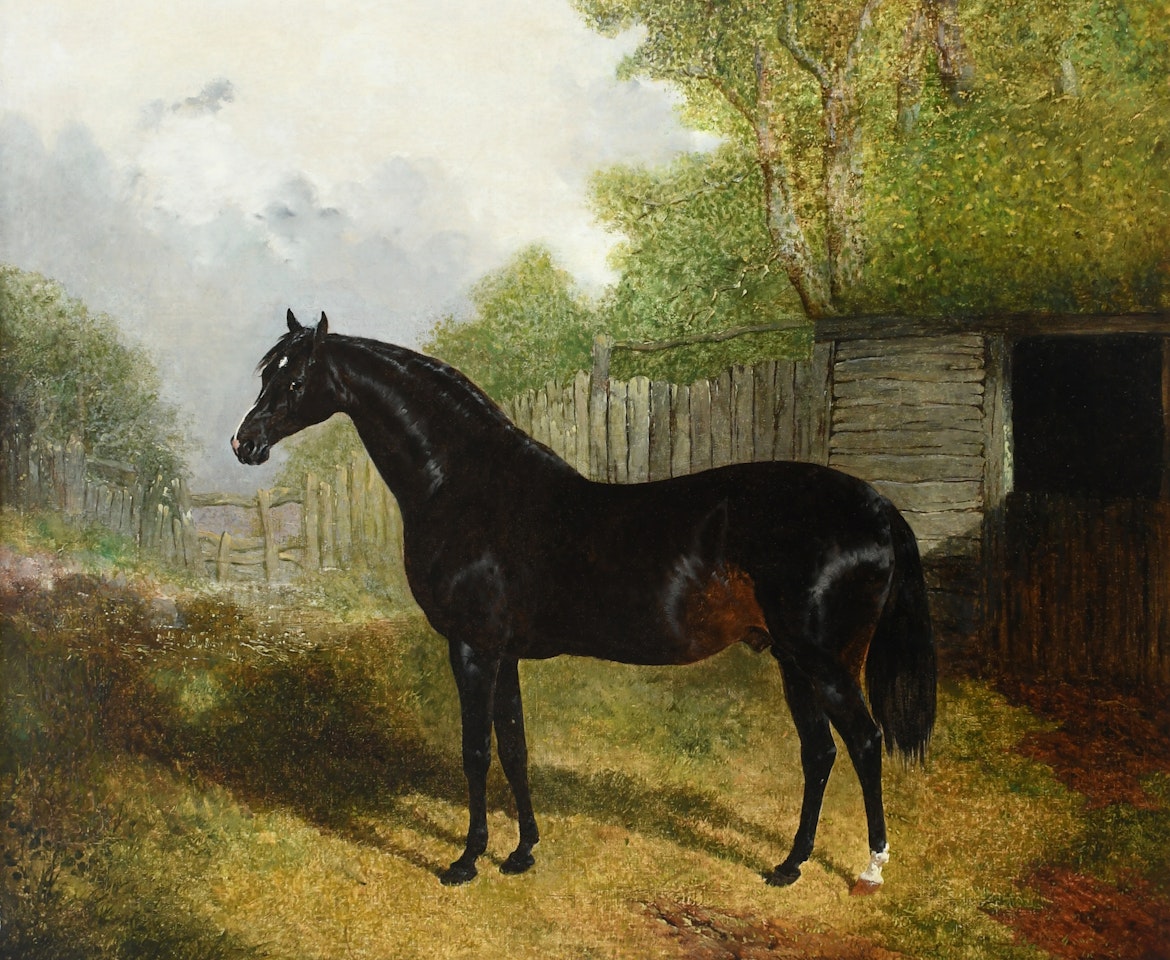 A dark bay by a stable by John Frederick Herring