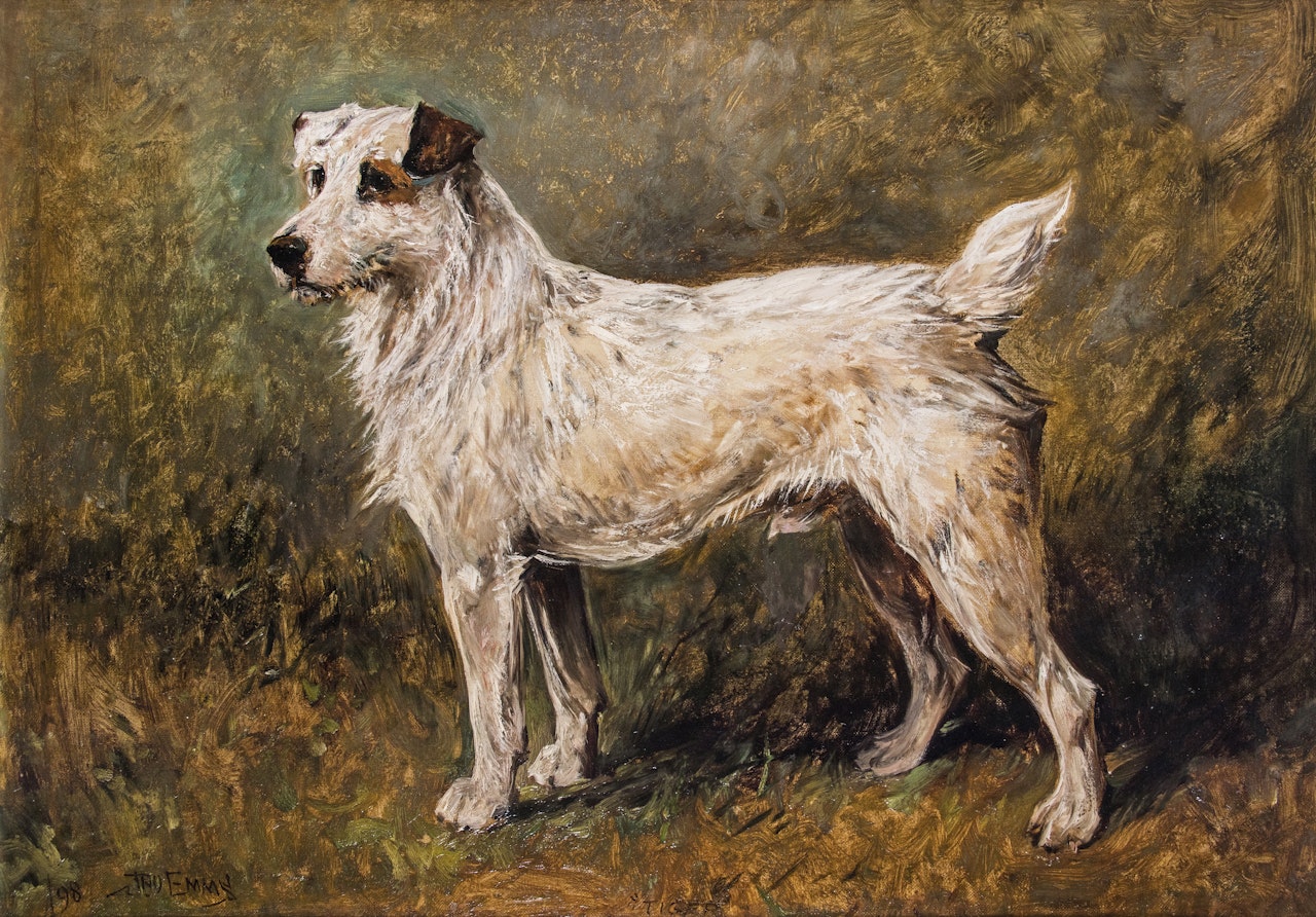 Tiger, a terrier by John Emms