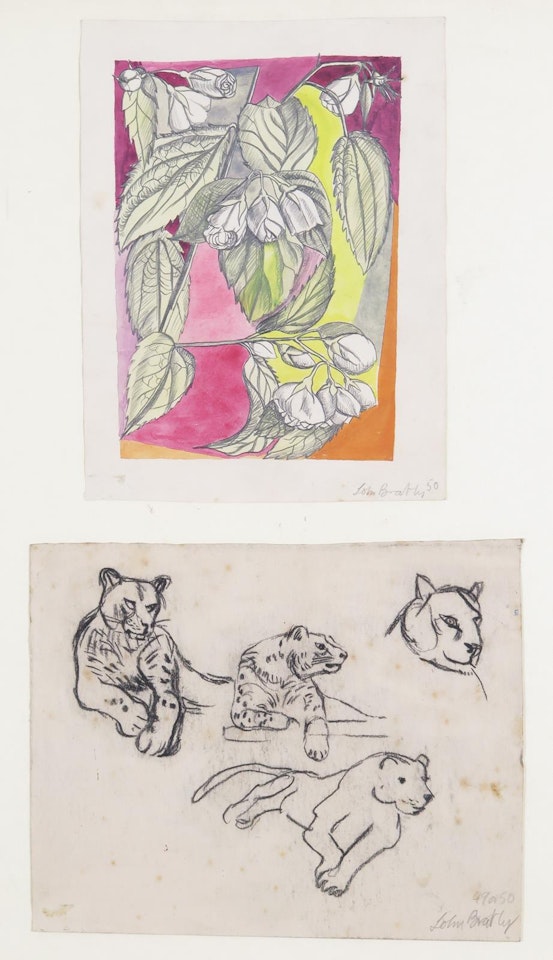 Rose Buds; Leopards by John Bratby