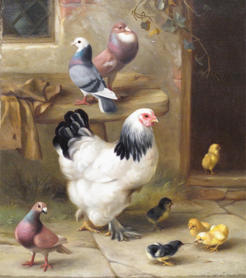 A chicken and chicks with pigeons by Edgar Hunt