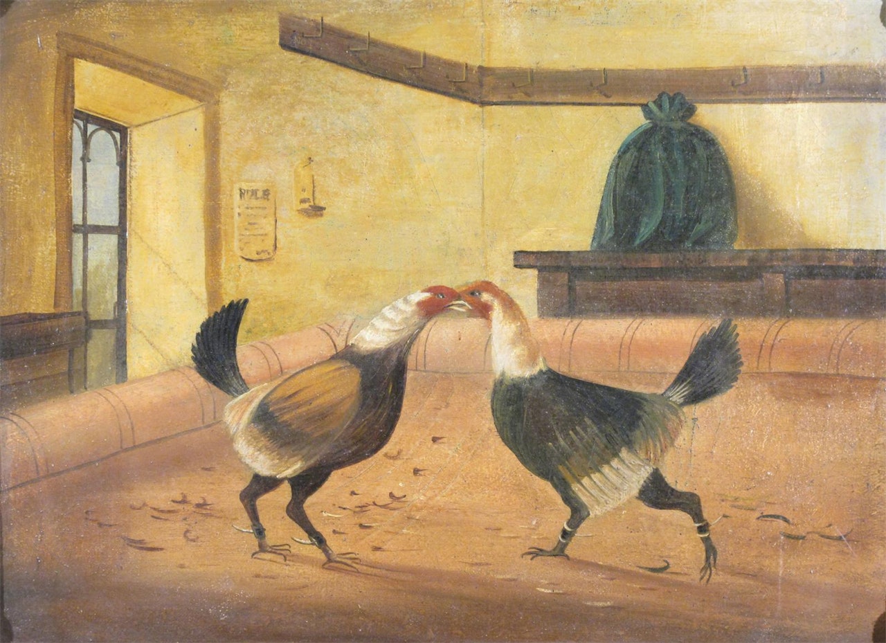 Cock fighting scene by English School