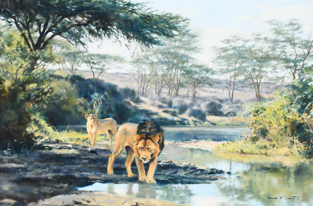Two lions on a riverbank by Donald Grant