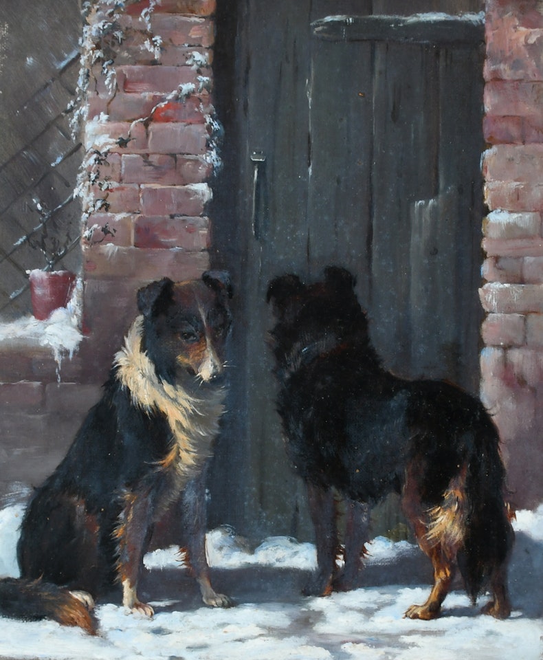 Two collies outside a door in winter by English School