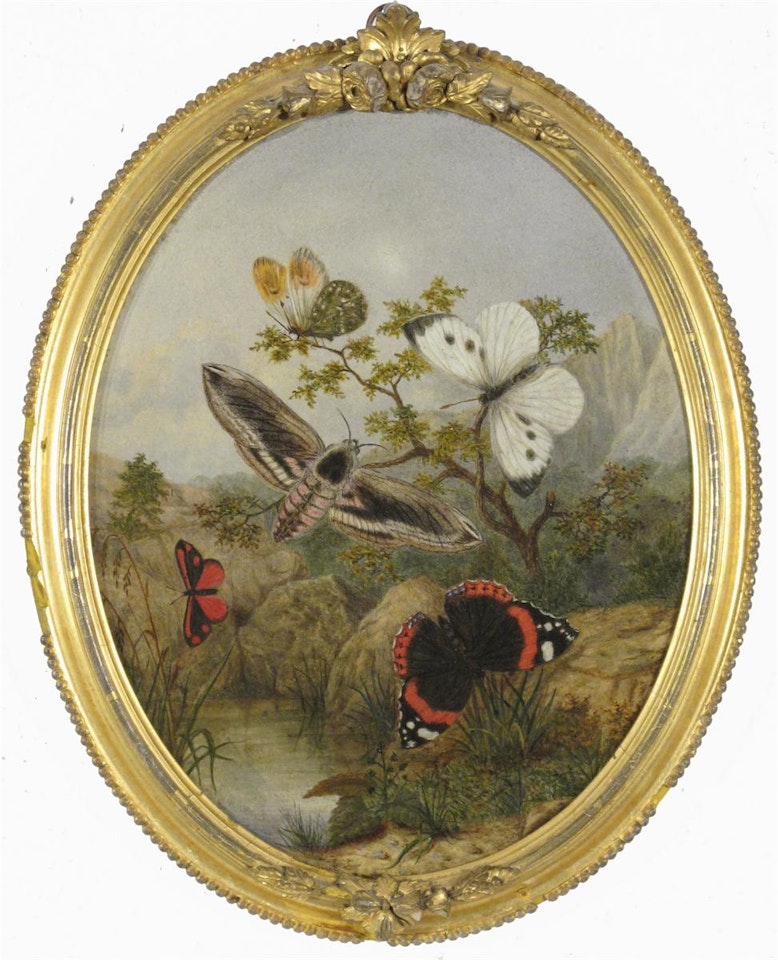 Rocky landscapes with numerous butterflies and moths by English School