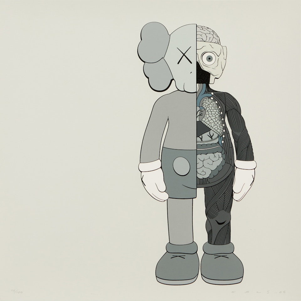 Dissected Companion by Kaws