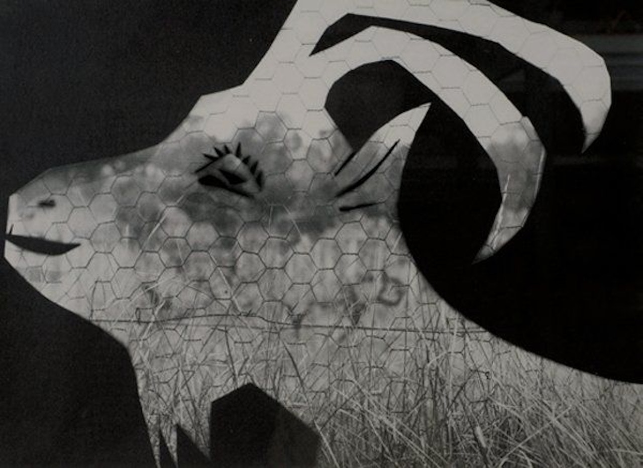 Diurne by Pablo Picasso