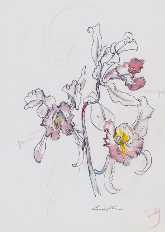 Orchids by Leonard Tsuguharu Foujita