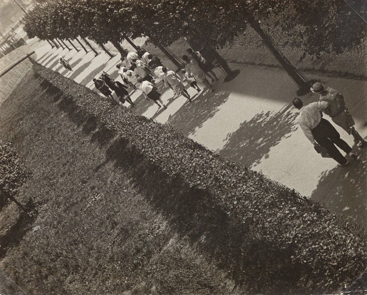 The Central Park Of Culture And Leisure, Alley by Alexander Rodchenko