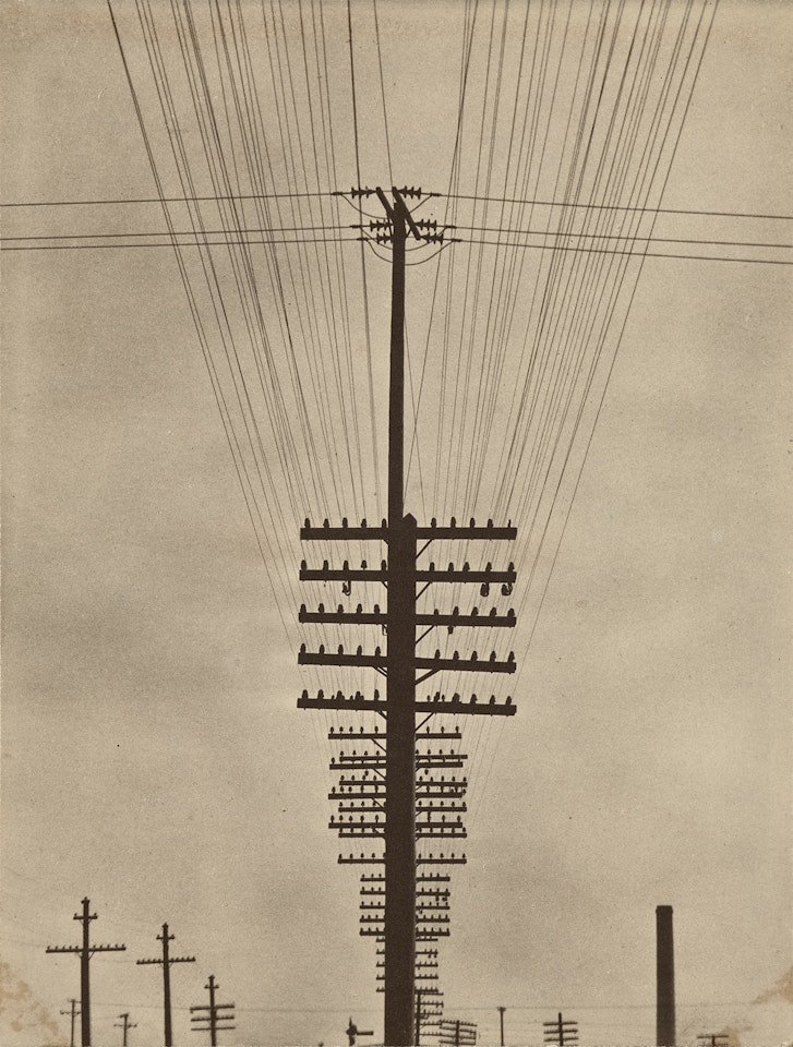 Telegraph Wires by Tina Modotti
