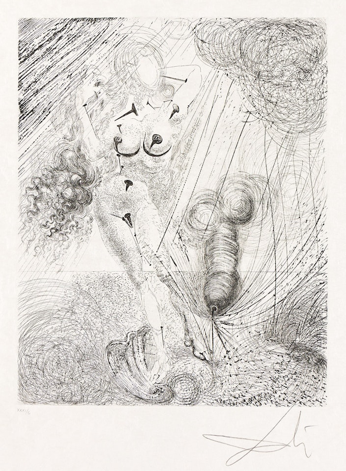 Venus (La Naissance de Venus) . by Salvador Dali