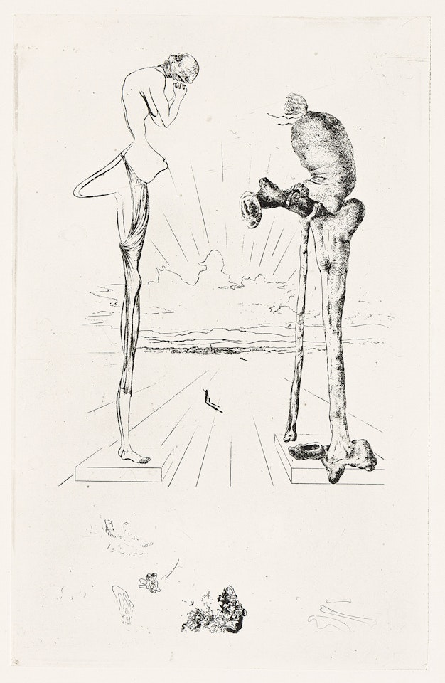 Les Chants de Maldoror. by Salvador Dali