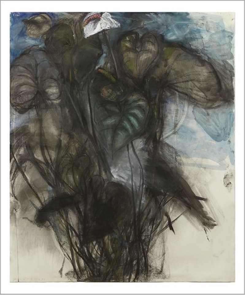 Sans titre by Jim Dine