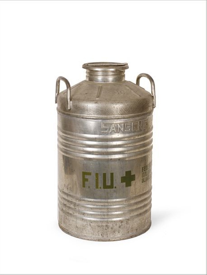 F.I.U. by Joseph Beuys