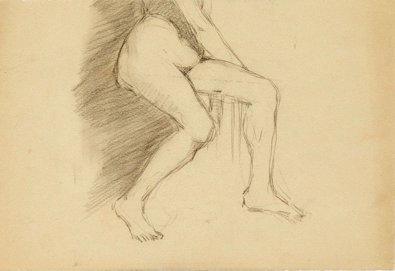 Nude of a seated woman by Francis Picabia