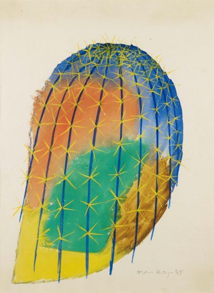 Cactus Series by Man Ray