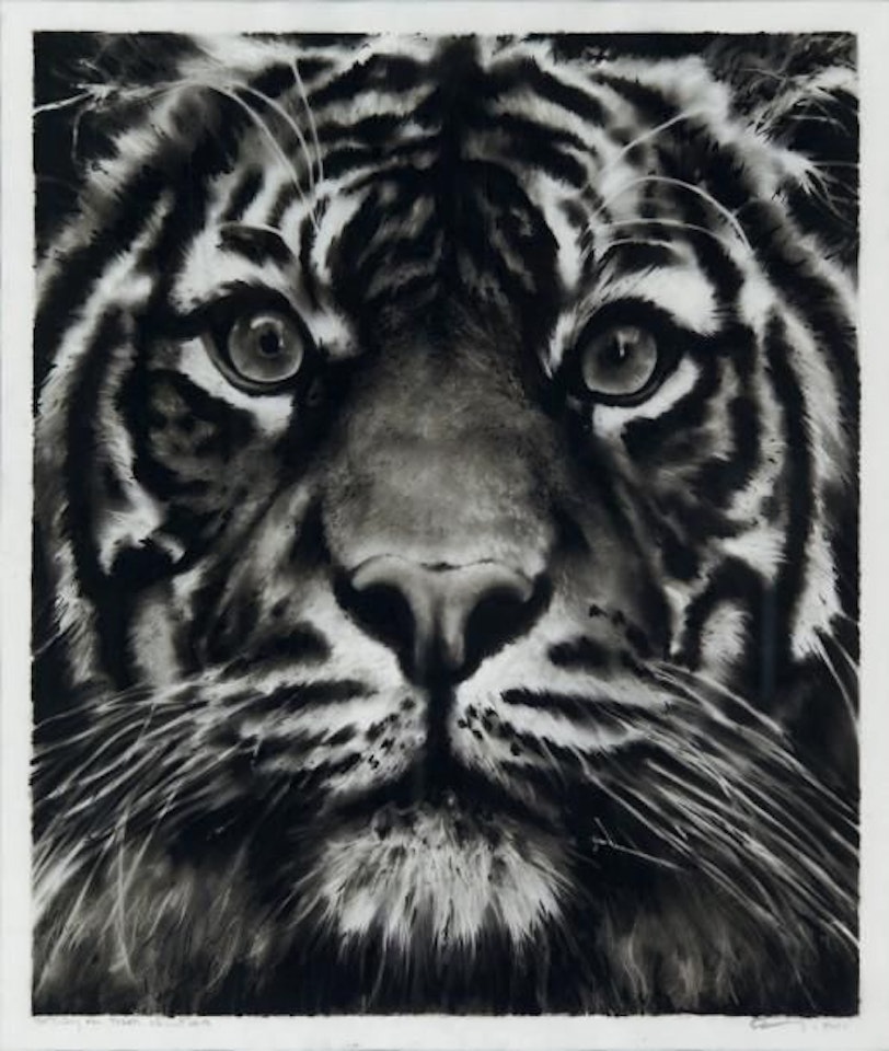 Study for Tiger head 9 by Robert Longo