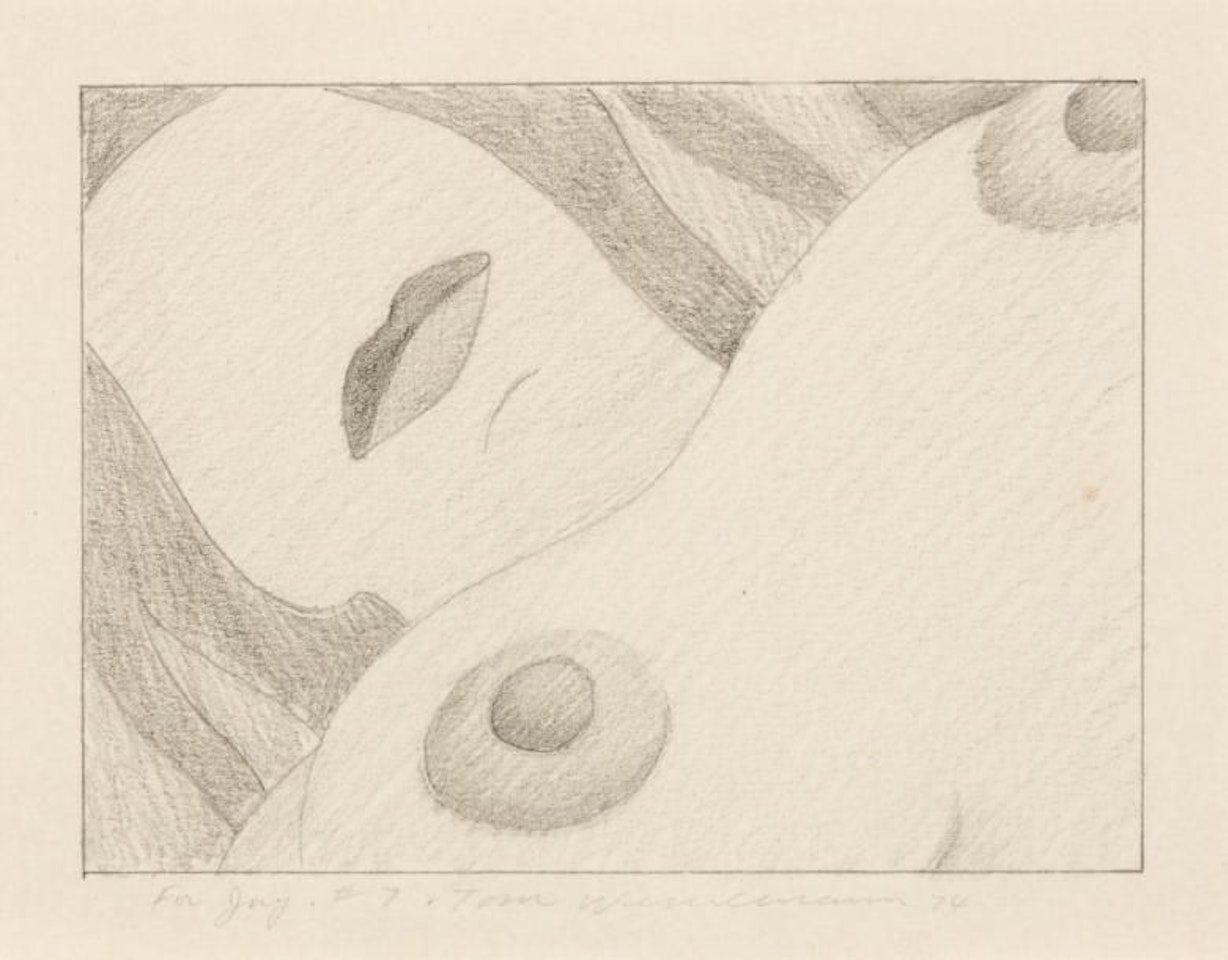 Banner nude by Tom Wesselmann