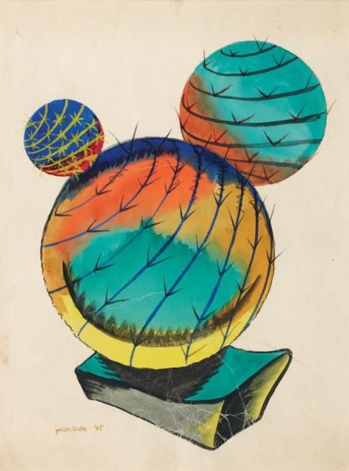 Transfiguration of a cactus by Man Ray