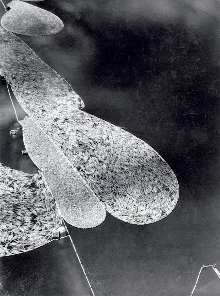 Aerial of large booms of lumber floating, Canada by Margaret Bourke-White