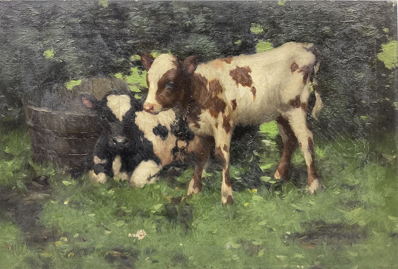 Study of Calves in Landscape by David Gauld