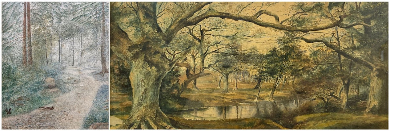 Squirrels on Woodland Path; Woodland Pond by English School