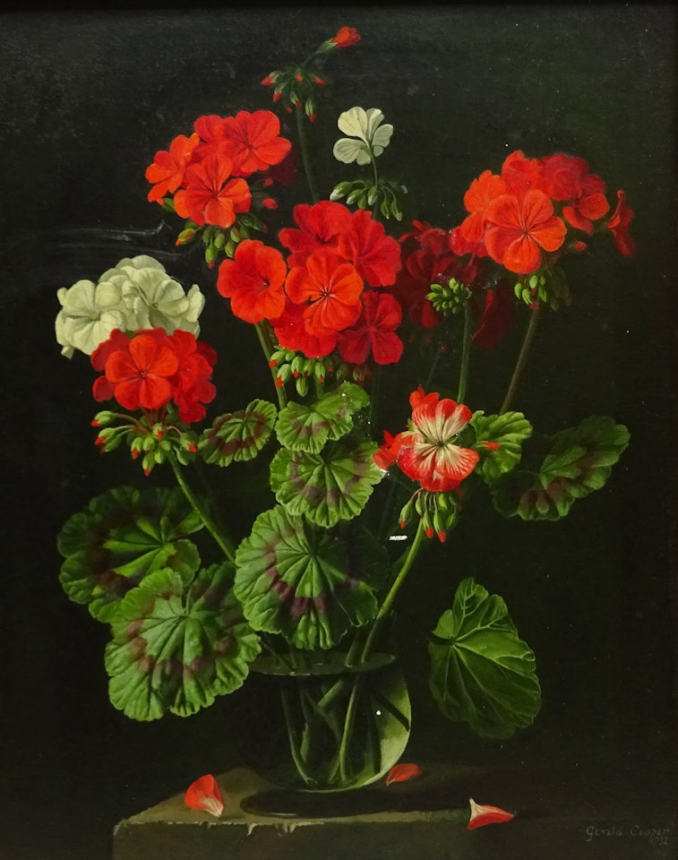 Still Life of Geraniums by Gerald Cooper