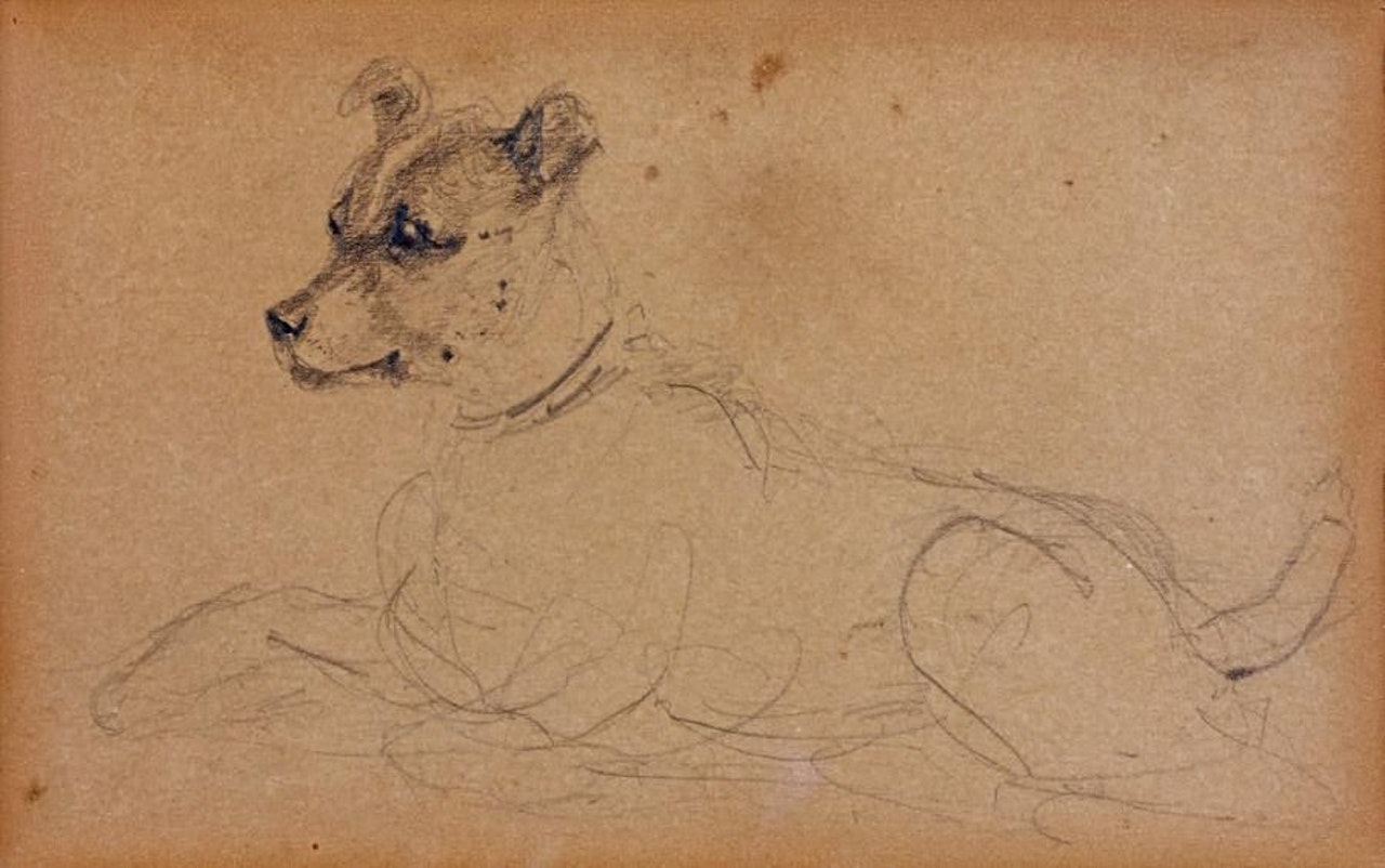 Dog lying down by Henri de Toulouse-Lautrec