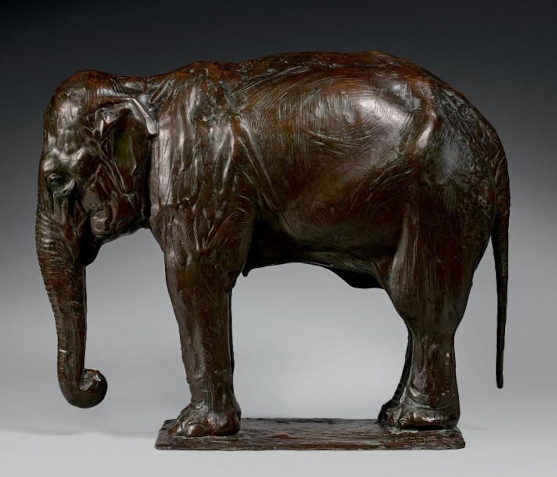 Indian elephant at rest by Rembrandt Bugatti