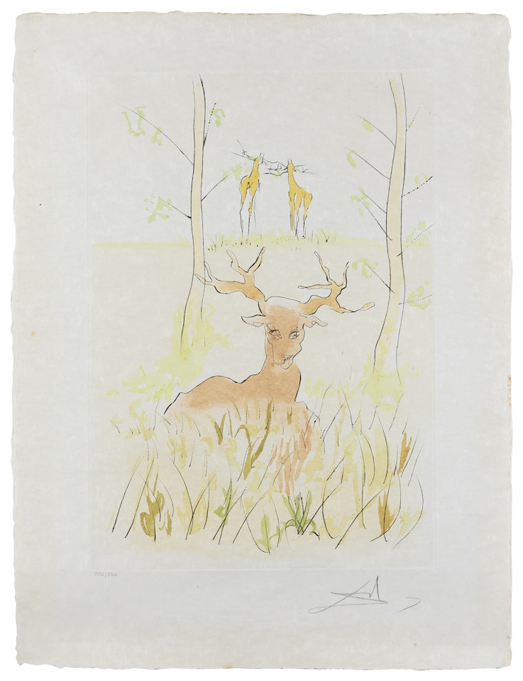Le Cerf Malade by Salvador Dali