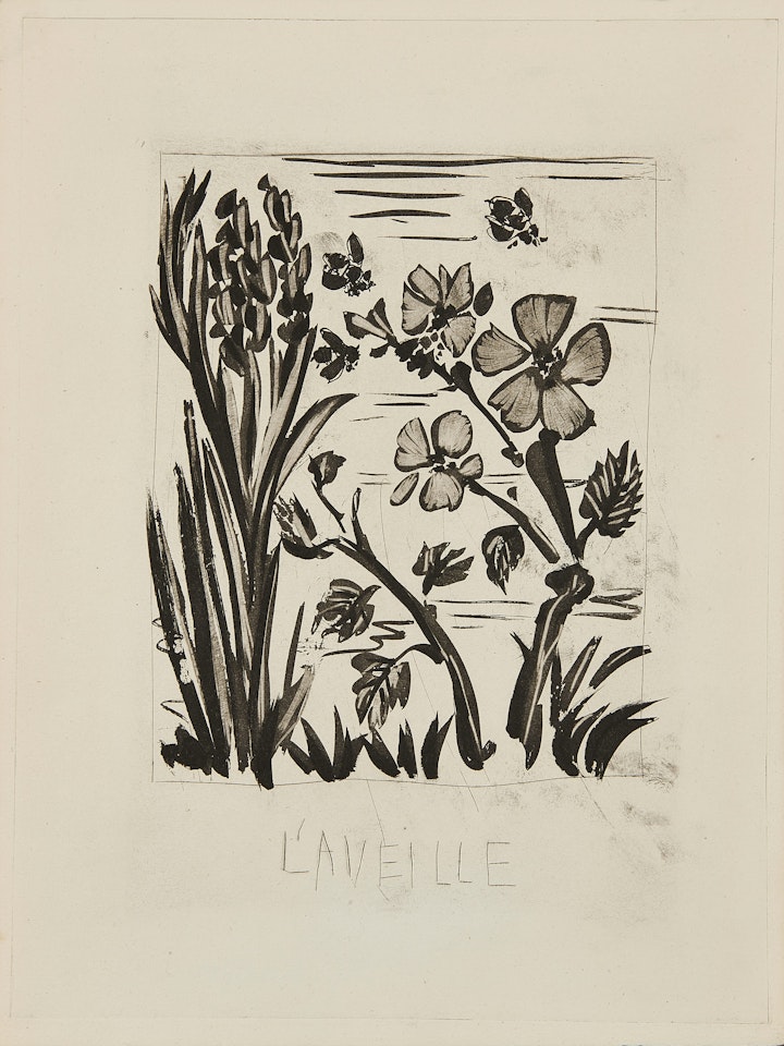 L"Aveille; Bloch 349 by Pablo Picasso