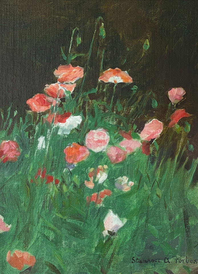 Poppies in a Meadow by Stanhope Alexander Forbes