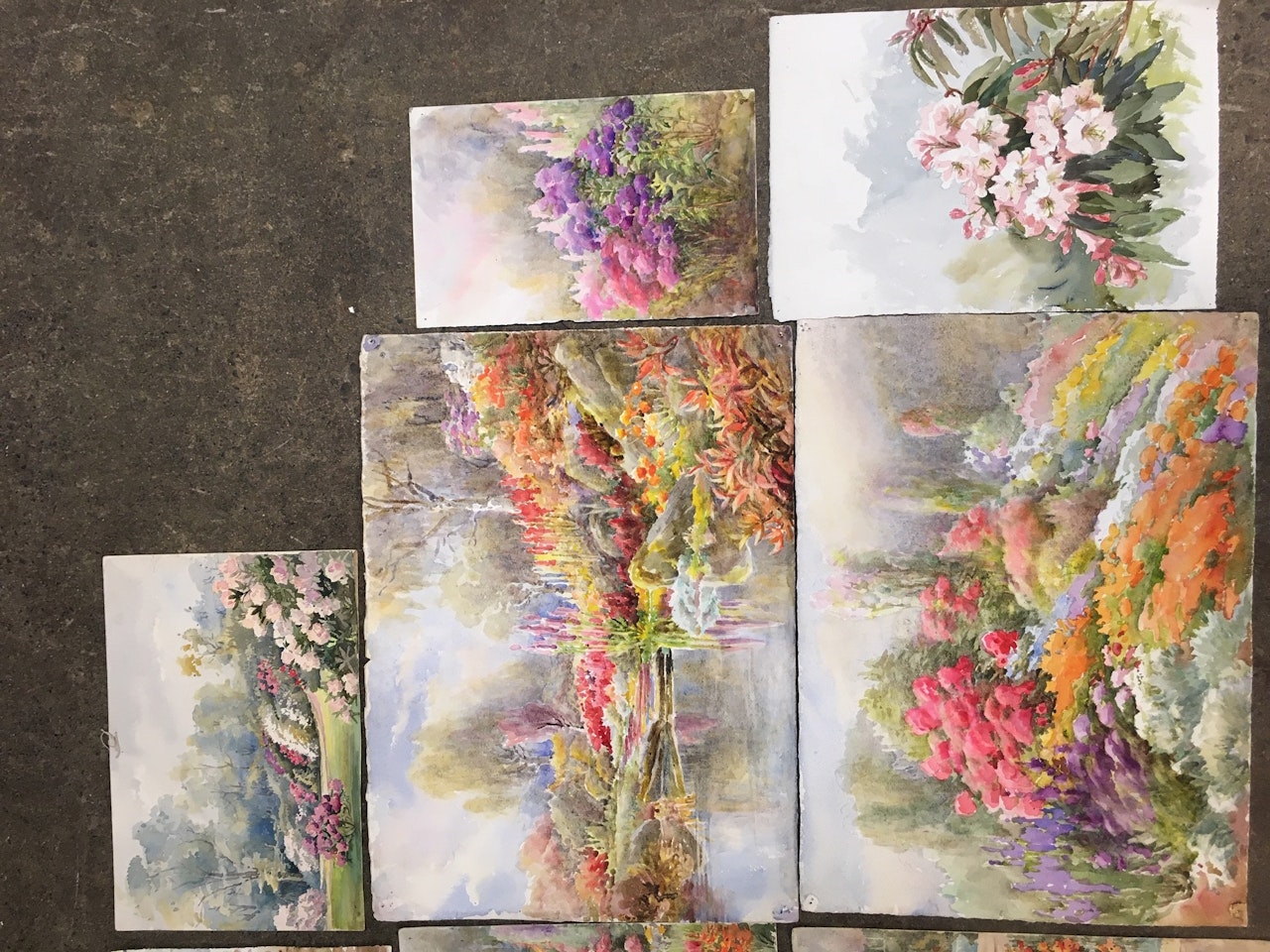 A Collection of Botanical and Garden studies by English School