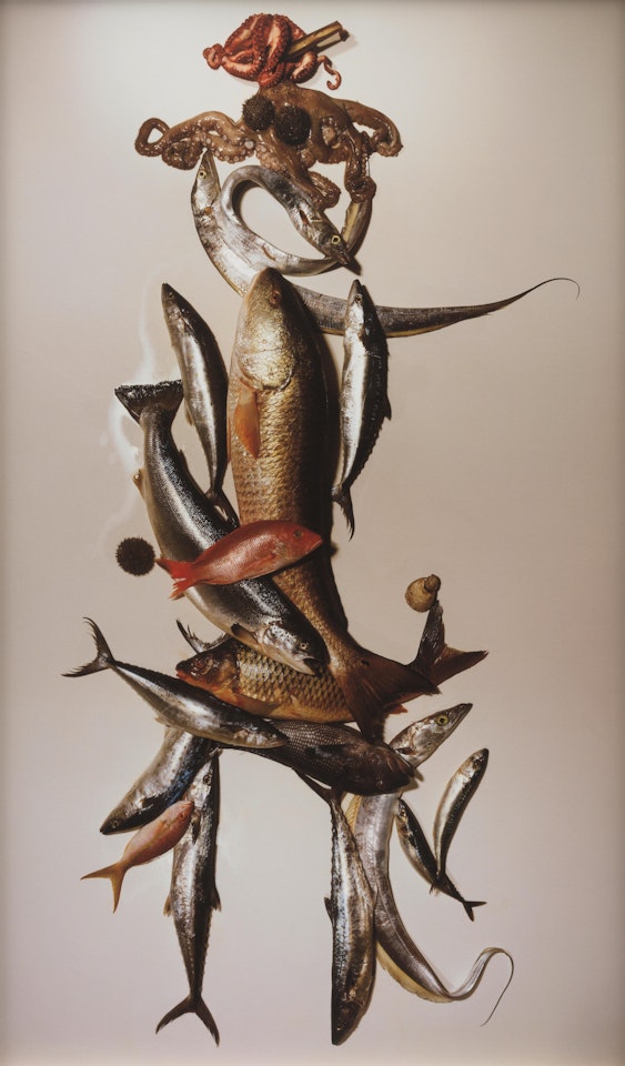 "Miss Fish, New York, Jan. 9, 2006" by Irving Penn