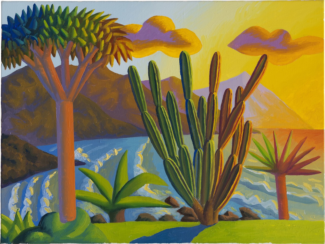 Punta del Hidalgo by Salvo