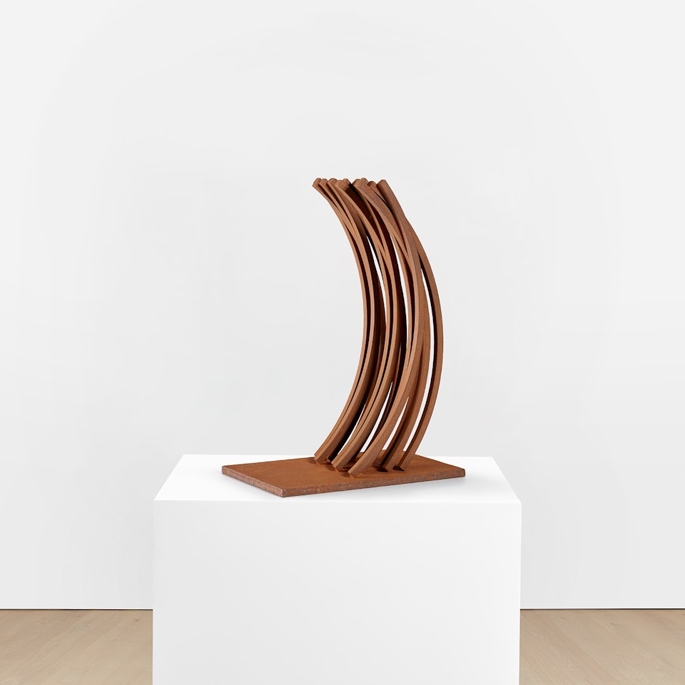 92.5° ARC x 14 by Bernar Venet