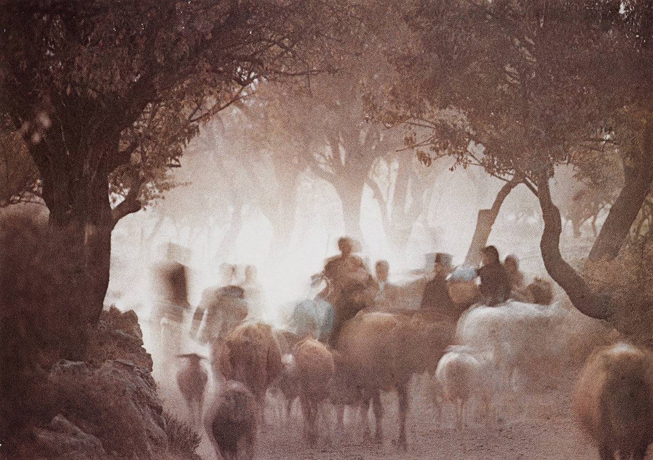 Cretan Landscape by Irving Penn