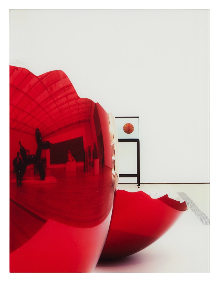 Nipple by Louise Lawler