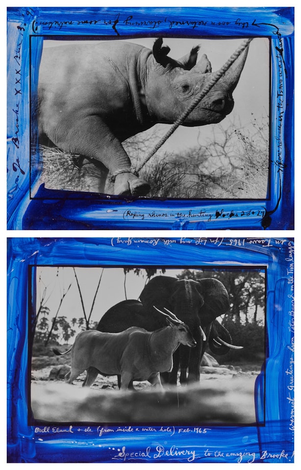 Selected Images by Peter Beard