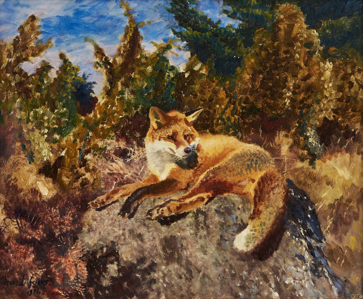 Resting fox in forest landscape by Bruno Liljefors