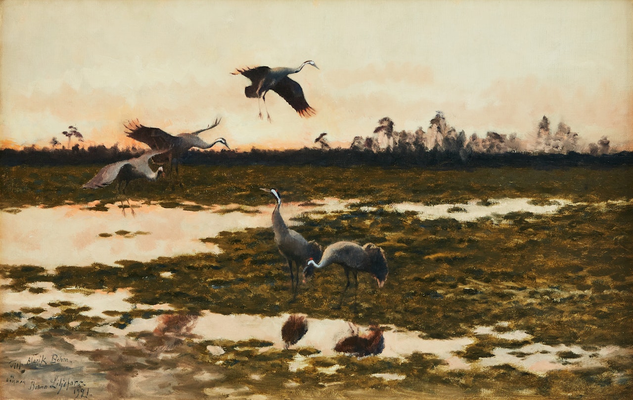 Mimicking cranes at dusk by Bruno Liljefors